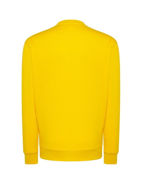 Bluza sweatshirt gold blue męska z haftem nadrukiem logo firmy 290g 290 kolor SY bluza sweatshirtjhktshirt_swra290_sy_back (1).jpg