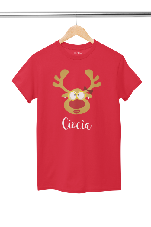 KOSZULKA ŚWIĄTECZNA DLA CIOCI NA SESJE ŚWIĄTECZNĄ NA PREZENT (2).png
