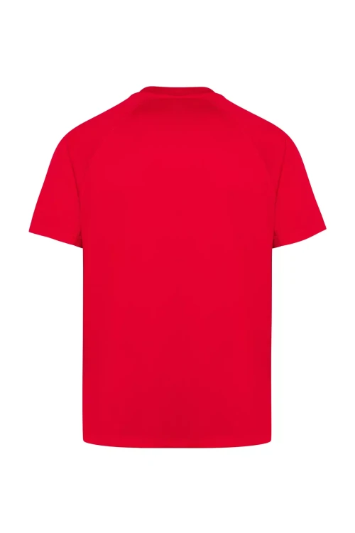 koszulka-sport-man-red-mska-z-haftem-nadrukiem-logo-firmy-130g-sport-man-kolor-rd-koszulka-sport-manjhktshirt-sportman-rd-side-3-copy.webp