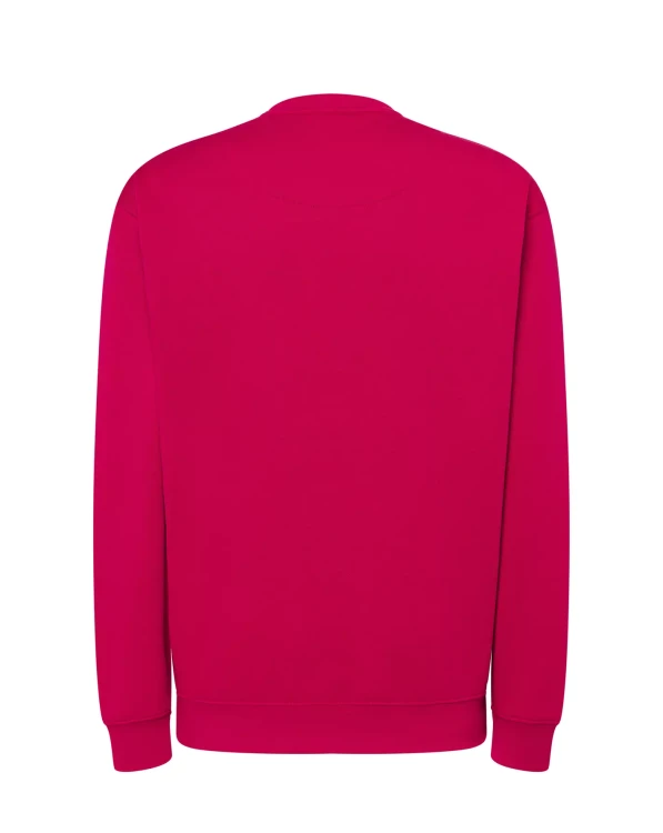 bluza-sweatshirt-raspberry-mska-z-haftem-nadrukiem-logo-firmy-290g-290-kolor-rp-bluza-sweatshirtjhktshirt-swra290-rp-back-1-copy.webp