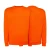 bluza-sweatshirt-orange-mska-z-haftem-nadrukiem-logo-firmy-290g-290-kolor-or-bluza-sweatshirt-copy.webp