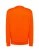 bluza-sweatshirt-orange-mska-z-haftem-nadrukiem-logo-firmy-290g-290-kolor-or-bluza-sweatshirtjhktshirt-swra290-or-back-1-copy.webp