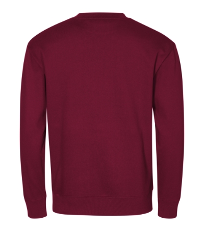 Malfini Crew 426 – 86 garnet – tył